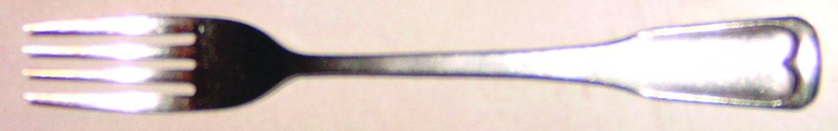 UNF700 (Stainless) Fork by Unknown Mfg Silver-1