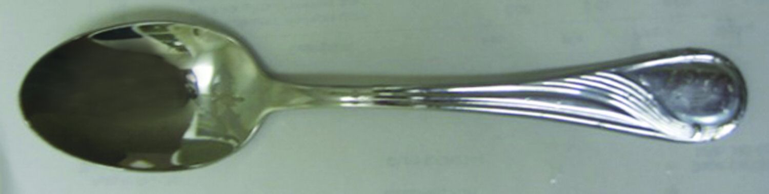 UNF704 (Stainless) Teaspoon by Unknown Mfg Silver-1
