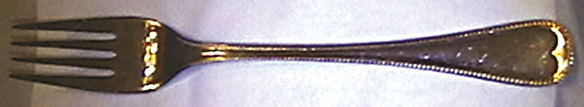 UNF845 (Stainless) Individual Salad Fork by Unknown Mfg Silver-1