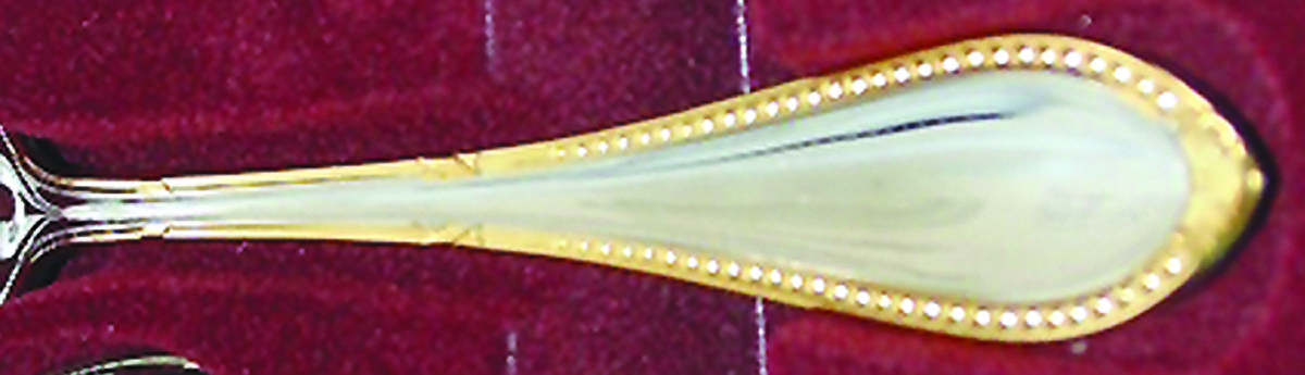 Britta (Stainless) Fork by Unknown Mfg Silver-1