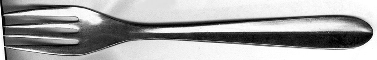 UNF880 (Stainless) Fork by Unknown Mfg Silver-1
