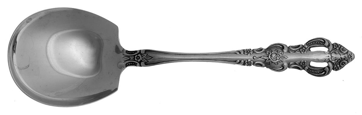 UNF885 (Stainless) Solid Smooth Casserole Spoon by Unknown Mfg Silver-1
