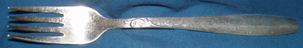 100 (Stainless) Fork by Unknown Mfg Silver-1
