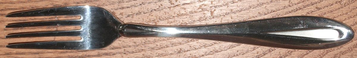 SMD3 (Stainless) Fork by Carl John Schmidt-1