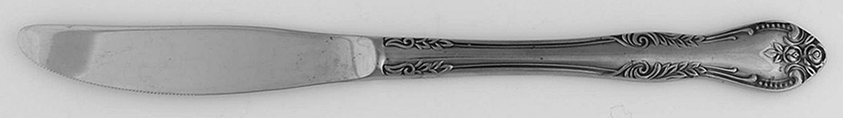 Roberta (Stainless) Modern Solid Knife by Unknown Mfg Silver-1