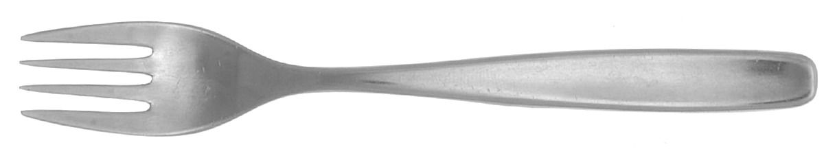 UNF1039 (Stainless) Youth Fork by Unknown Mfg Silver-1