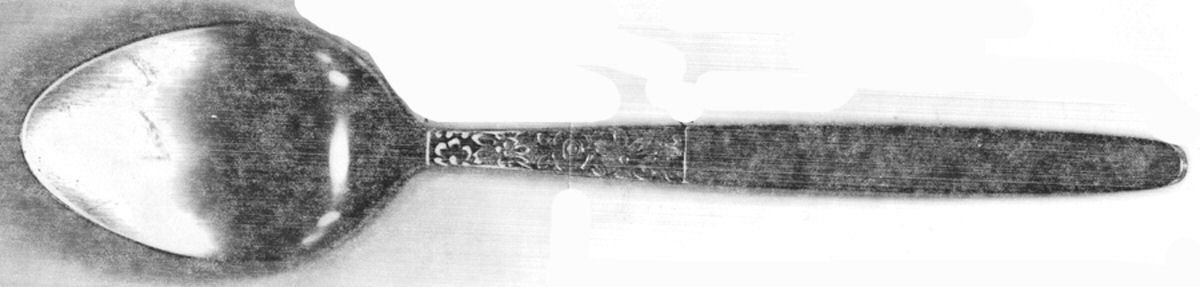 110 (Stainless) Place/Oval Soup Spoon by Unknown Mfg Silver-1