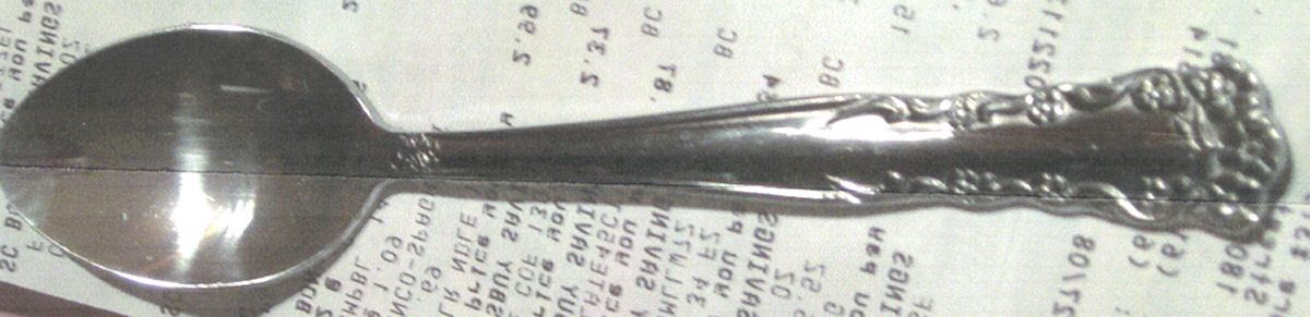 Cooks (Stainless) Teaspoon by Unknown Mfg Silver-1