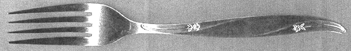 UNF1109 (Stainless) Fork by Unknown Mfg Silver-1