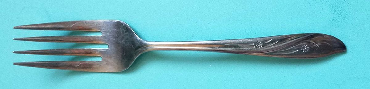 UNF1120 (Stainless) Individual Salad Fork by Unknown Mfg Silver-1