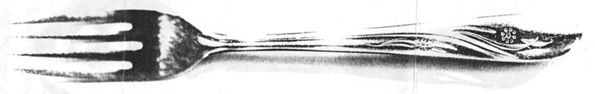 UNF1120 (Stainless) Fork by Unknown Mfg Silver-1