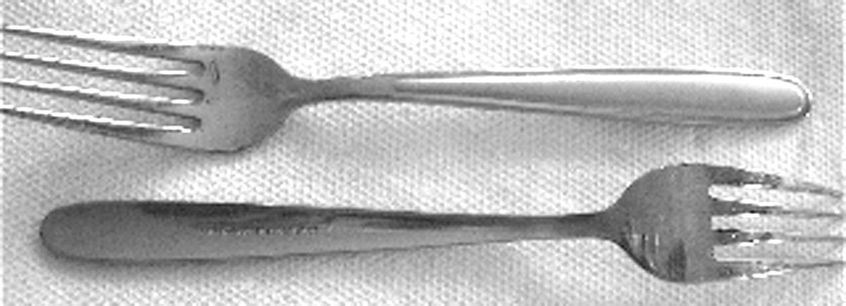 UNF1125 (Stainless) Fork by Unknown Mfg Silver-1