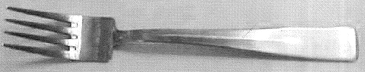 HMZ (Stainless) Fork by Unknown Mfg Silver-1