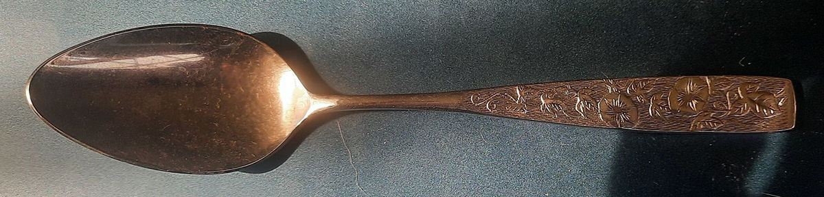UNF1194 (Stainless) Teaspoon by Unknown Mfg Silver-1
