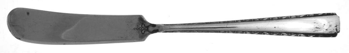 UNF737 (Nickel) Flat Handle Butter Spreader by Unknown Mfg Silver-1