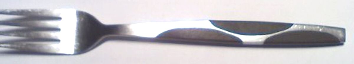 UNF1200 (Stainless) Fork by Unknown Mfg Silver-1