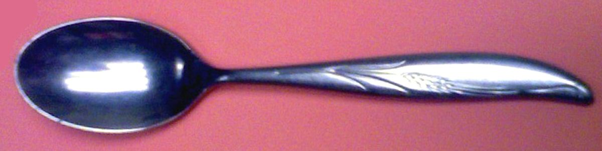 UNF747 (Stainless) Teaspoon by Unknown Mfg Silver-1