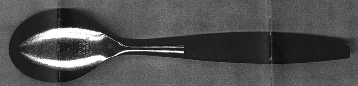 Gold Dust (Stainless) Teaspoon by Unknown Mfg Silver-1