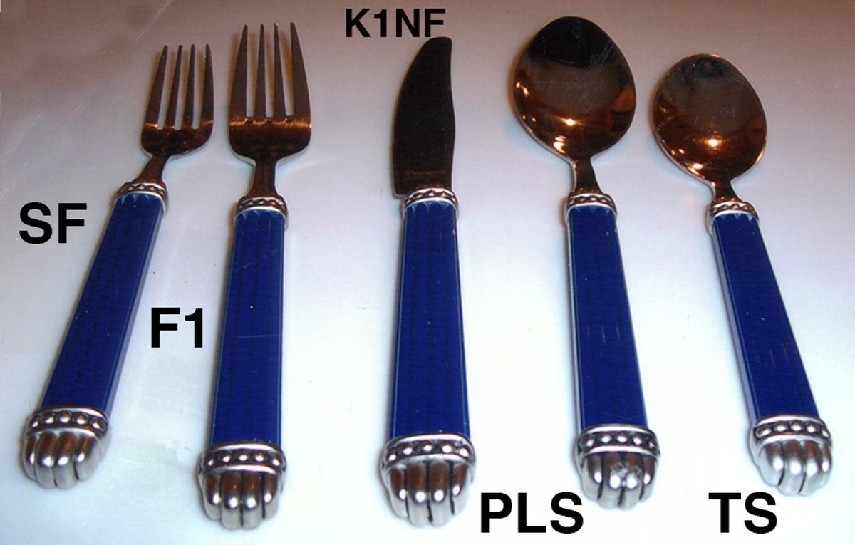 Pravance (Stainless) Fork by Unknown Mfg Silver-1