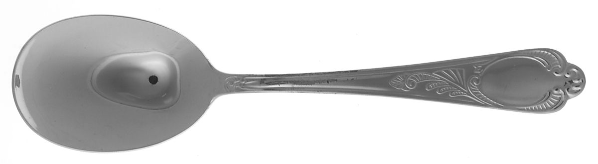 UNF1571 (Stainless) Tablespoon (Serving Spoon) by Unknown Mfg Silver-1