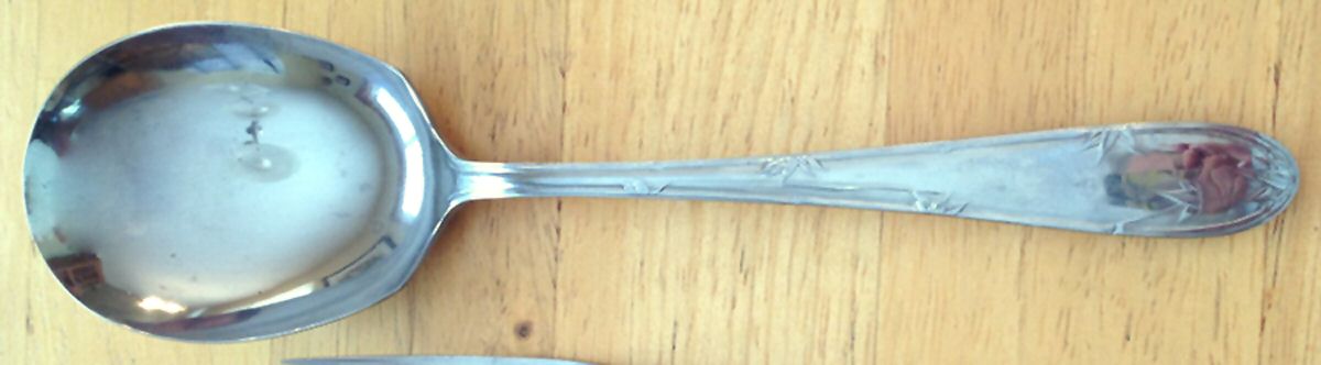 UNF756 (Stainless) Solid Smooth Casserole Spoon by Unknown Mfg Silver-1