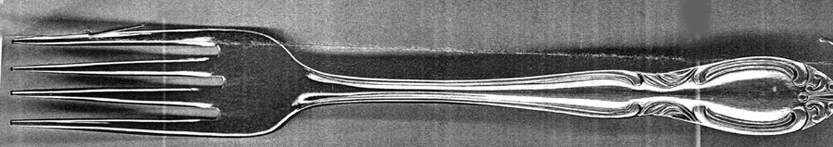 UNF1917(Stainless) Fork by Unknown Mfg Silver-1