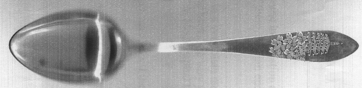 UNF1966 (Sterling) Teaspoon by Unknown Mfg Silver-1