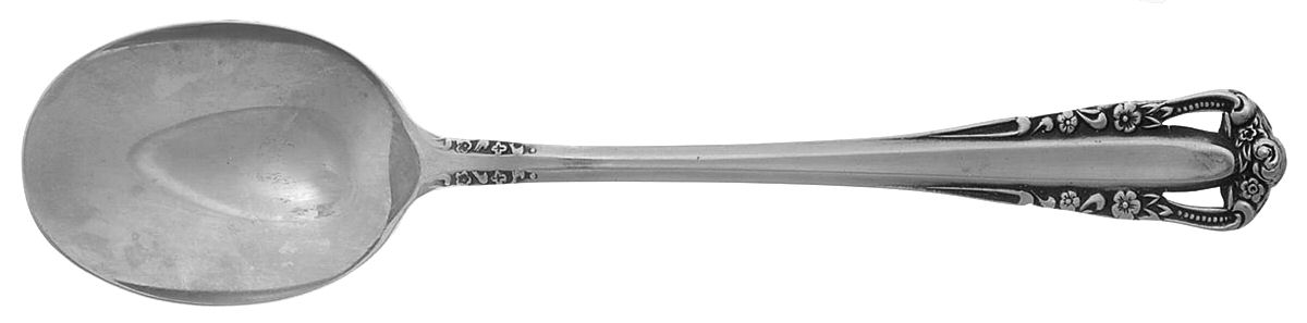 UNF1336 (Stainless) Sugar Spoon by Unknown Mfg Silver-1