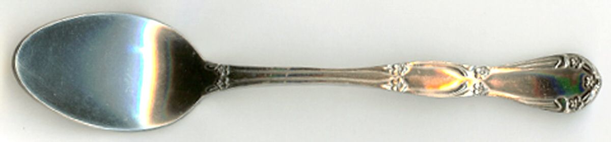 Chelsea (Stainless) Teaspoon by Unknown Mfg Silver-1