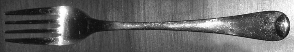 C5E1 (Stainless) Fork by Casa Elite-1