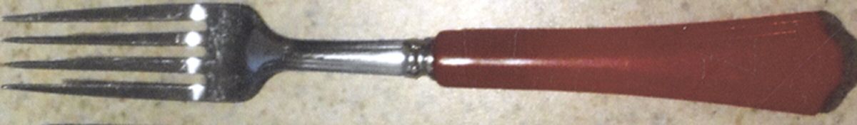 UNF1399 (Stainless) Individual Salad Fork by Unknown Mfg Silver-1