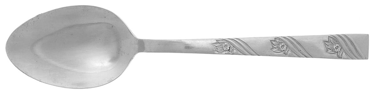 UNF1779 (Stainless) Teaspoon by Unknown Mfg Silver-1