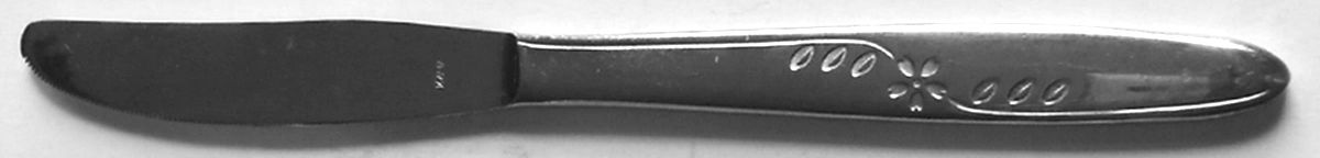 UNF2174 (Stainless) Modern Hollow Knife by Unknown Mfg Silver-1