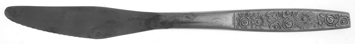 Rosette (Stainless) Modern Solid Knife by Unknown Mfg Silver-1