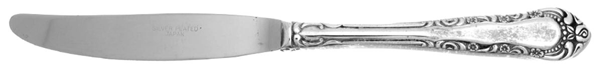 UNF2373 (Silverplate) Modern Hollow Knife by Unknown Mfg Silver-1
