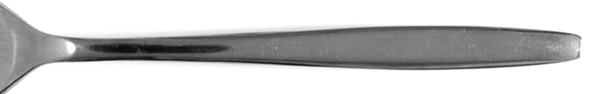VIV4 (STAINLESS) Teaspoon by Vivron-1