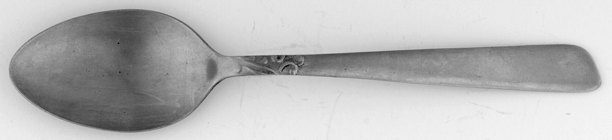 VAI3 (STAINLESS) Teaspoon by Valiant-1