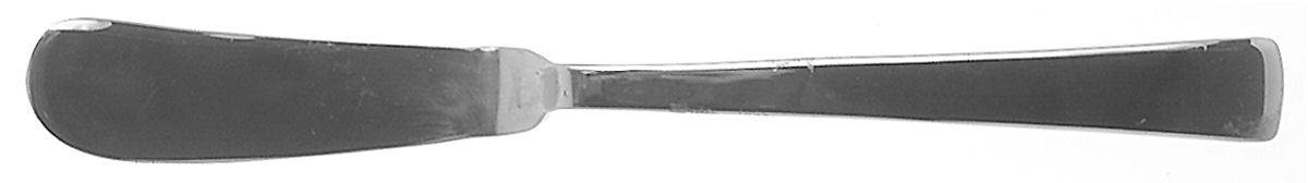 Notting Hill (Stainless) Flat Handle Master Butter Knife by Villeroy & Boch-1