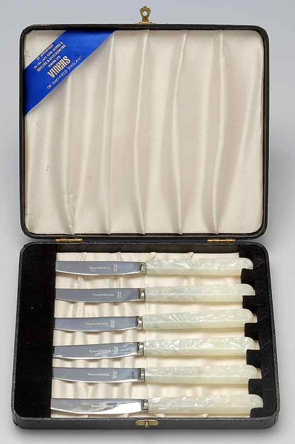 Stainless Flatware (Set of 6) Stainless Blade Fruit Knives in a Box by Viners of Sheffield-1