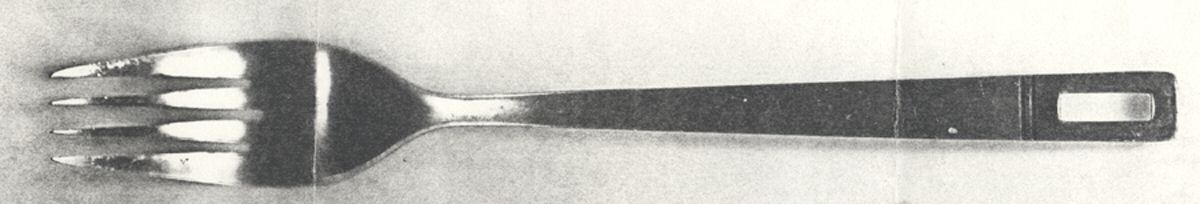 VI4 (Stainless) Fork by Viners Intl-1