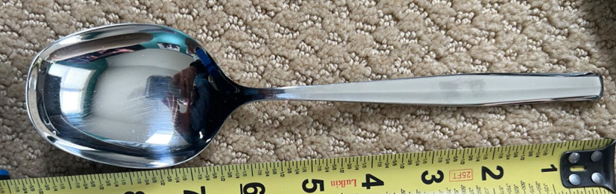 Frankfurt (Stainless) Solid Serving Spoon by WMF Flatware-1