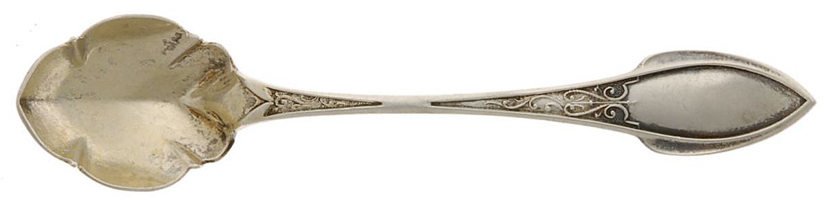 Zephyr (Sterling, 1870) Master Salt Spoon by Wood & Hughes-1