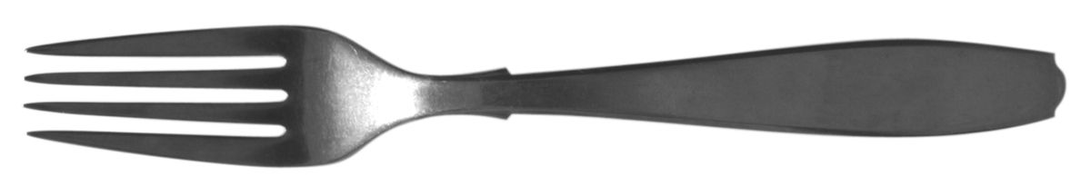 WZN1 (Stainless) Fork by Winzen Stainless-1
