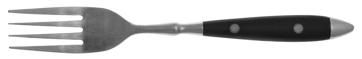 Carousel-Black (Stainless) Fork by Washington Forge-1