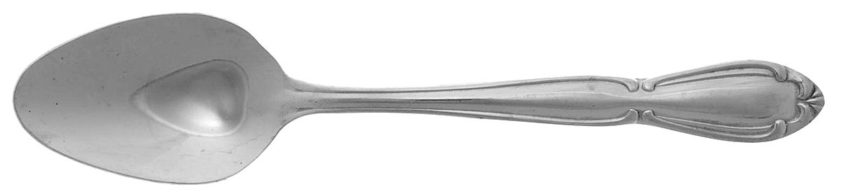 Carolyn (Stainless) Teaspoon by Washington Forge-1