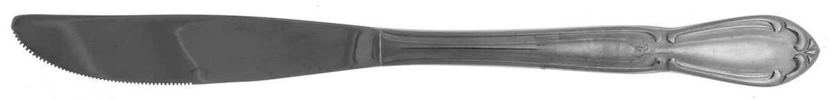Carolyn (Stainless) Modern Solid Knife by Washington Forge-1