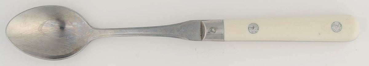 Mardi Gras-Cream-Vanilla (Stainless) Iced Tea Spoon by Washington Forge-1