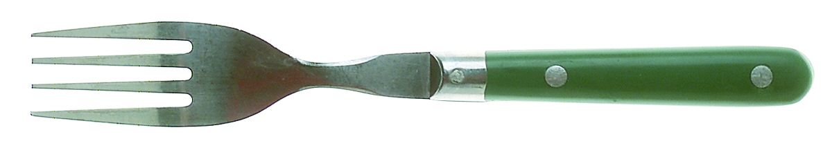 Mardi Gras-Green (Hunter) Individual Salad Fork by Washington Forge-1