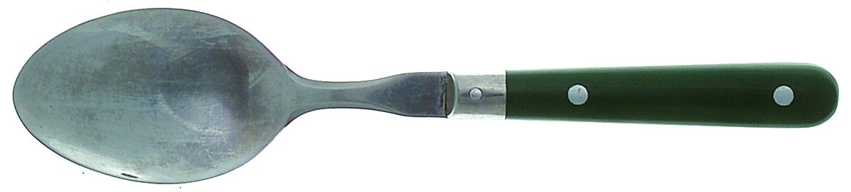 Mardi Gras-Green (Hunter) Tablespoon (Serving Spoon) by Washington Forge-1