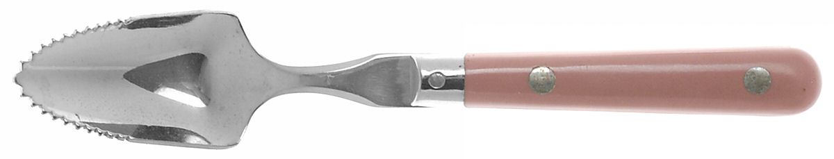 Mardi Gras-Mauve (Stainless) Fruit/Orange Spoon by Washington Forge-1